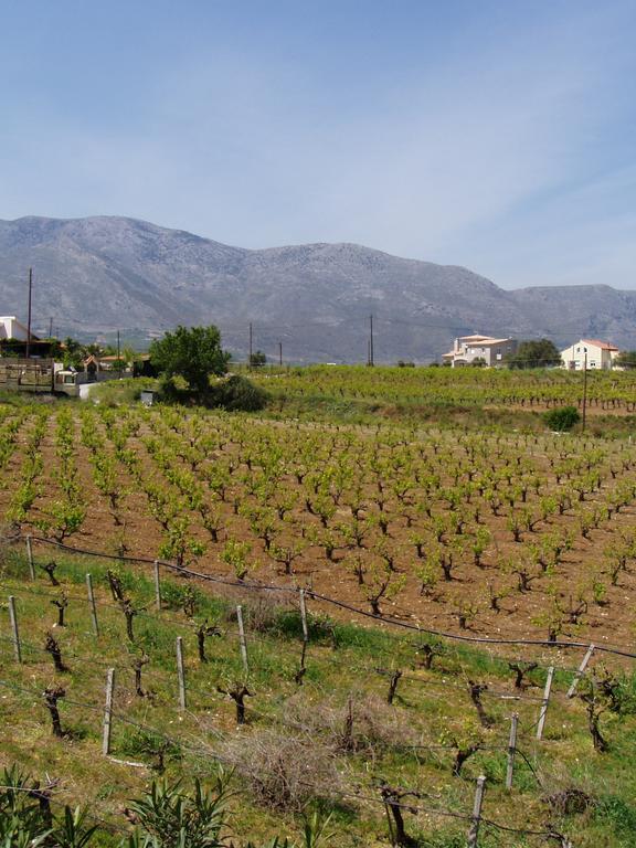 Christina Villas- Minoan Inland Pentamodi المظهر الخارجي الصورة